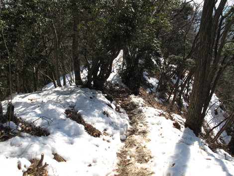 20160128hike (93)